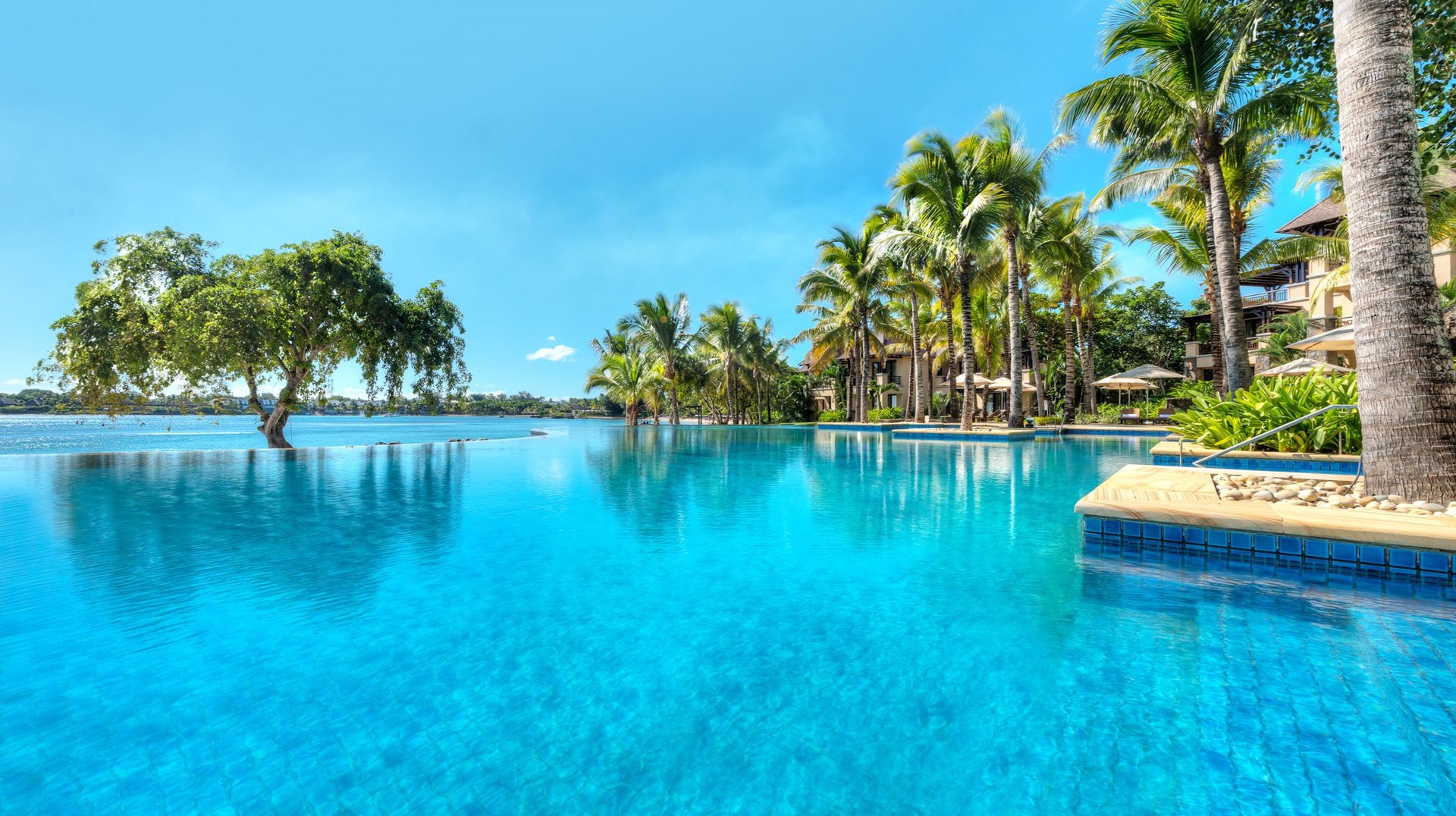 Buitengewone uitzichten, luxe en uitstekende service The Westin Turtle Bay Resort & Spa
